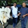 Wagub Jabar Erwan Setiawan Serahkan Sapi Kurban, Warga Sekitar Rumah Dinas Kebanjiran Berkah!