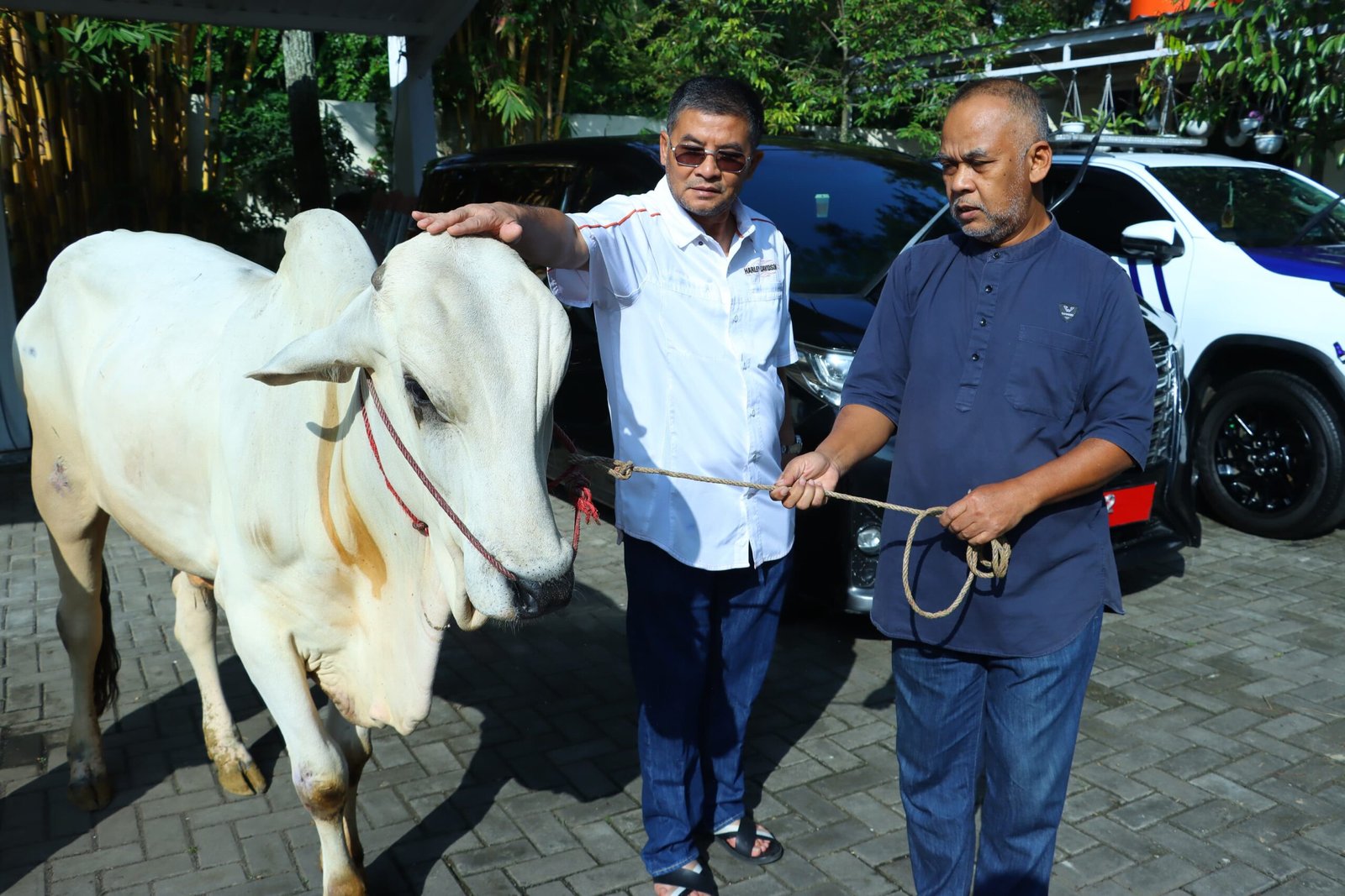 Wagub Jabar Erwan Setiawan Serahkan Sapi Kurban, Warga Sekitar Rumah Dinas Kebanjiran Berkah!