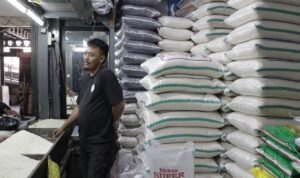 WhatsApp Image 2025-09-02 at 17.14.59